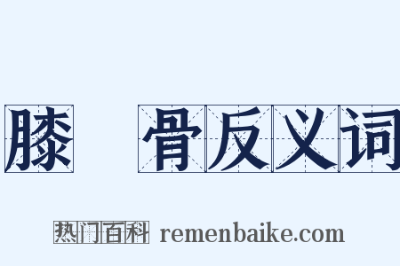 膝蓋骨反义词是什么意思的图片